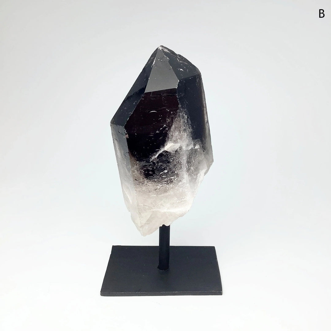 Rough Smoky Quartz on Display Stand