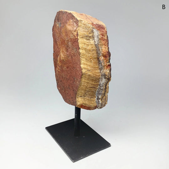 Raw Tiger Eye on Display Stand