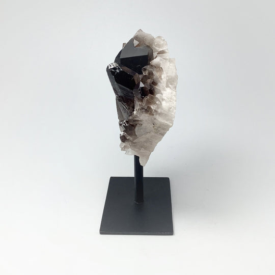 Smoky Quartz Cluster on Display Stand