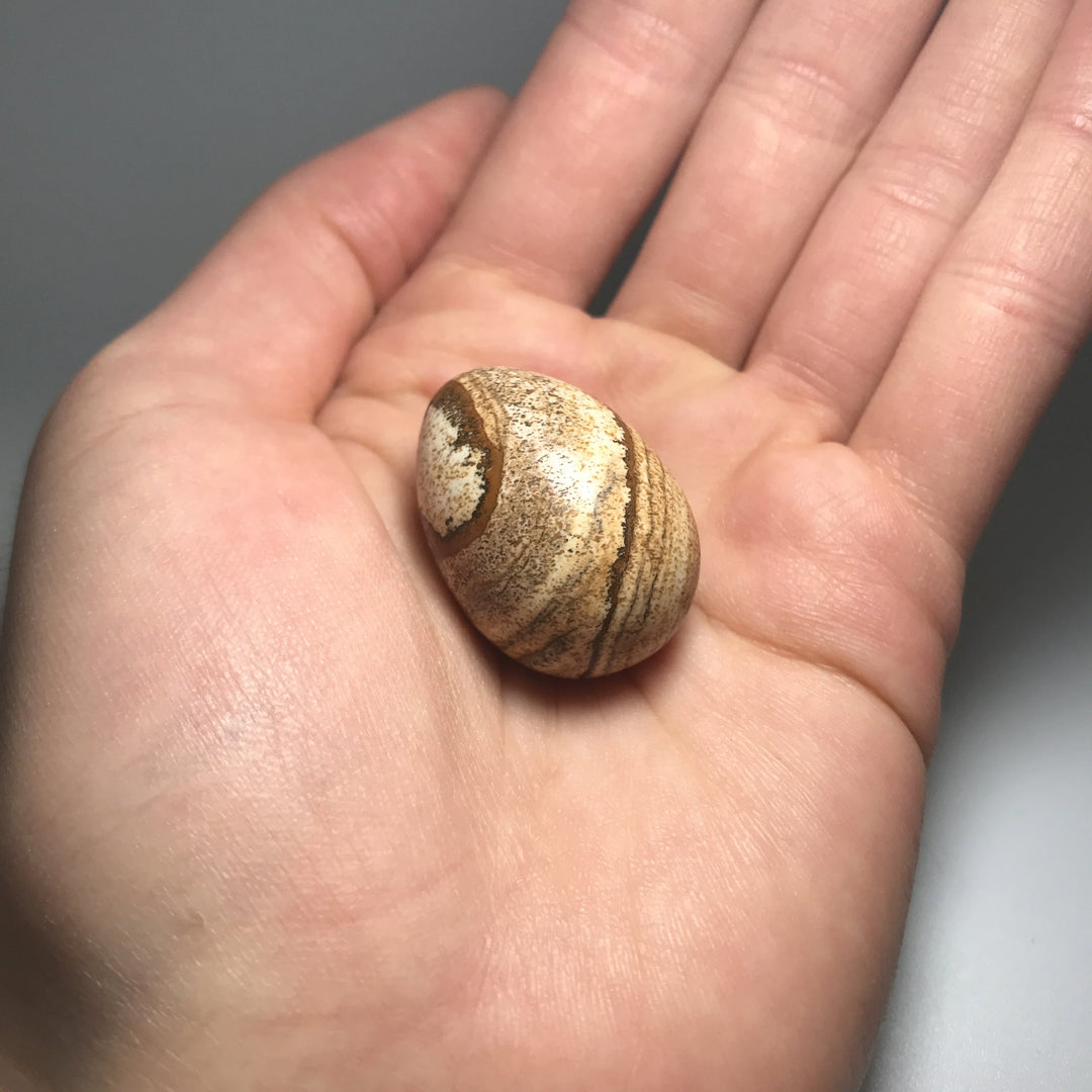 Picture Jasper Mini Egg