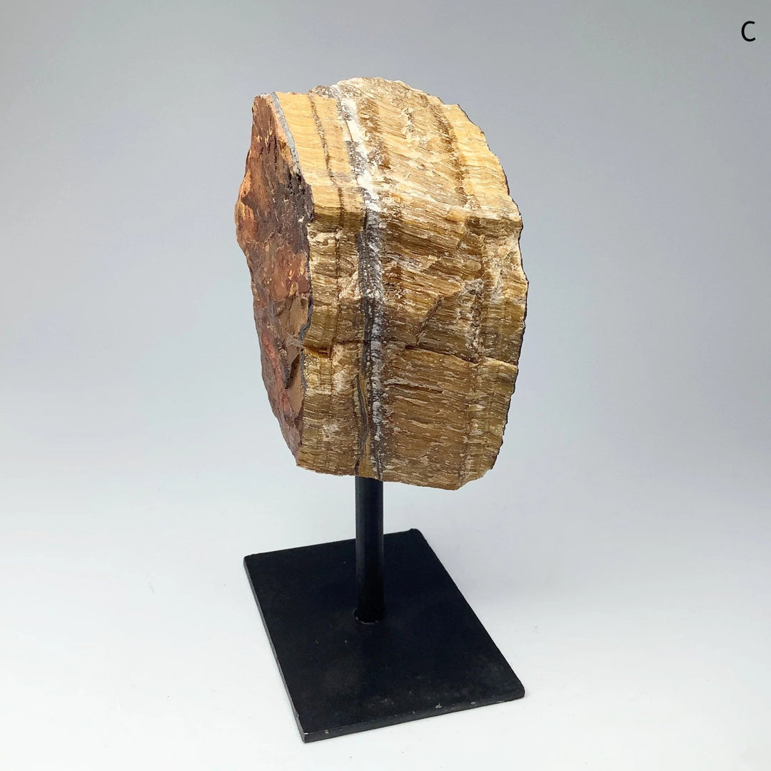 Raw Tiger Eye on Display Stand