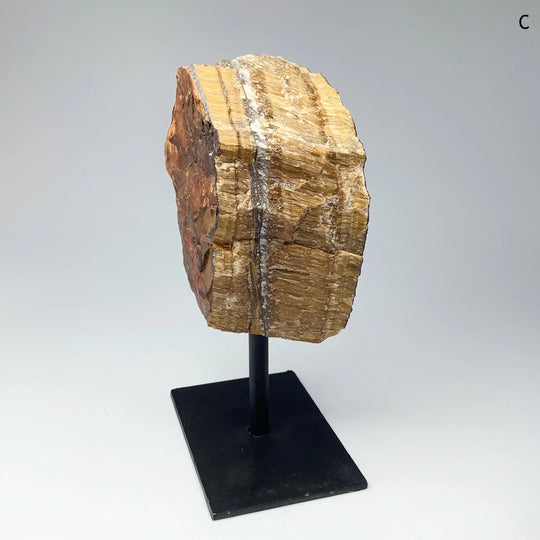 Raw Tiger Eye on Display Stand