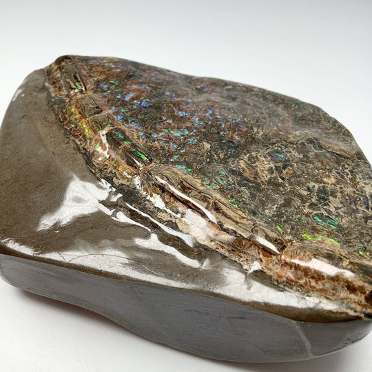 Ammolite Specimen