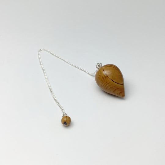 Picture Jasper Teardrop Pendulum