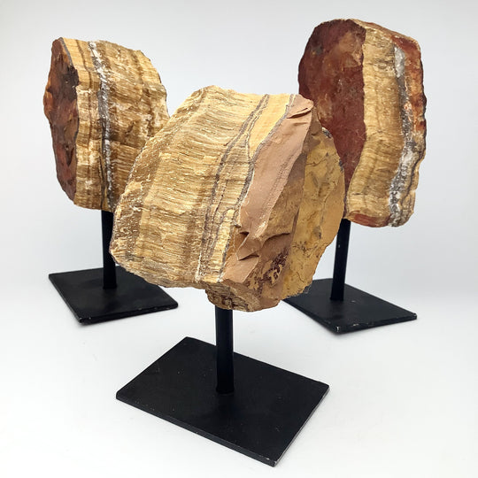 Raw Tiger Eye on Display Stand