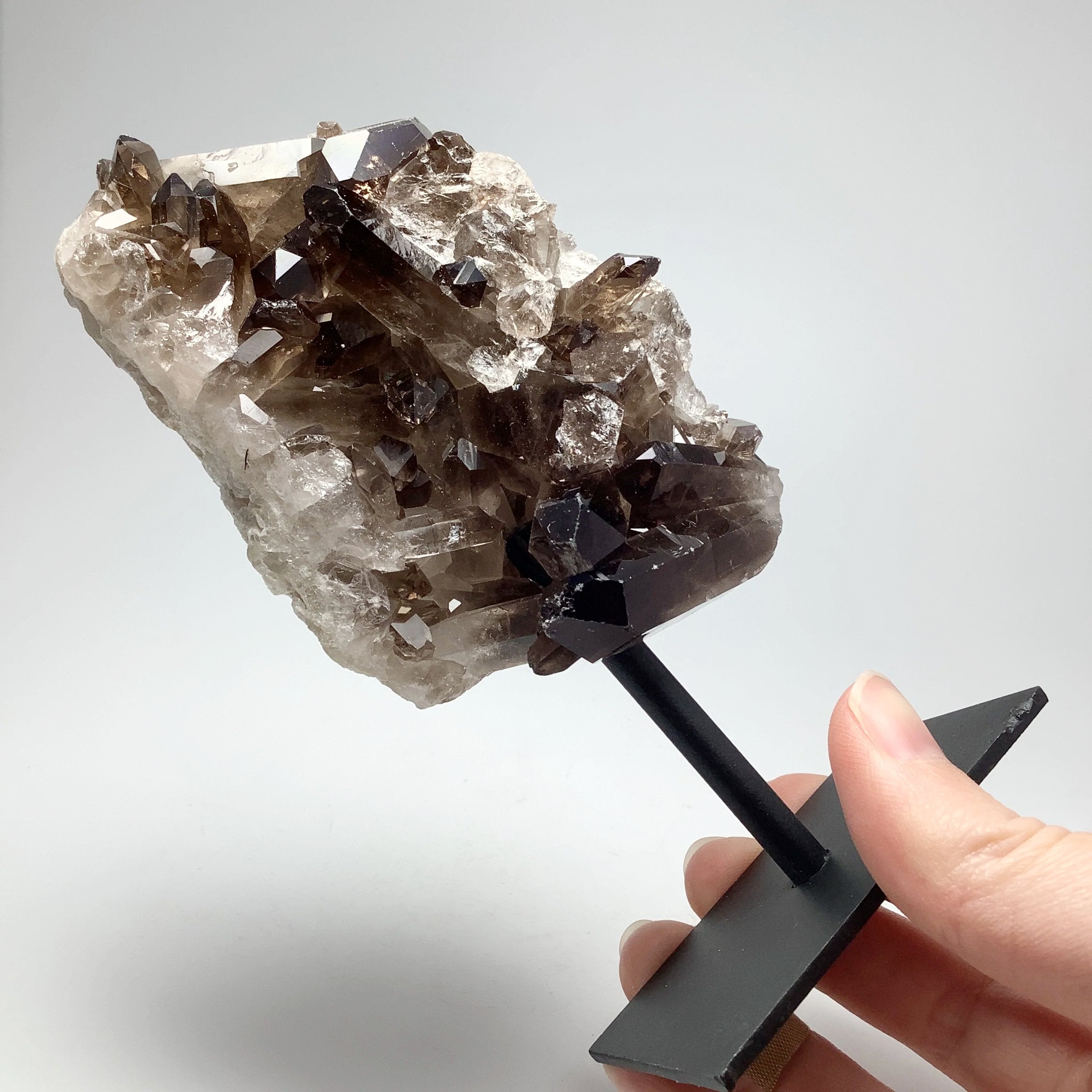 Smoky Quartz Cluster on Display Stand