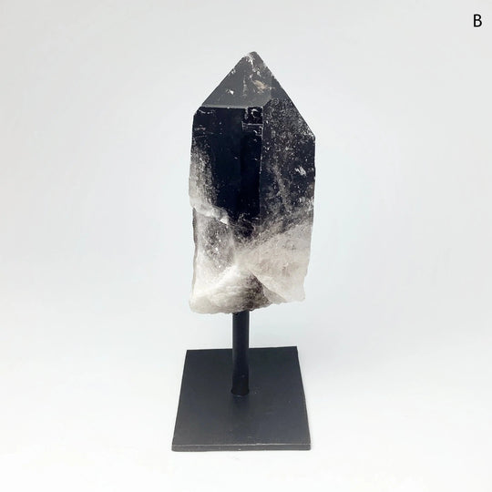 Rough Smoky Quartz on Display Stand