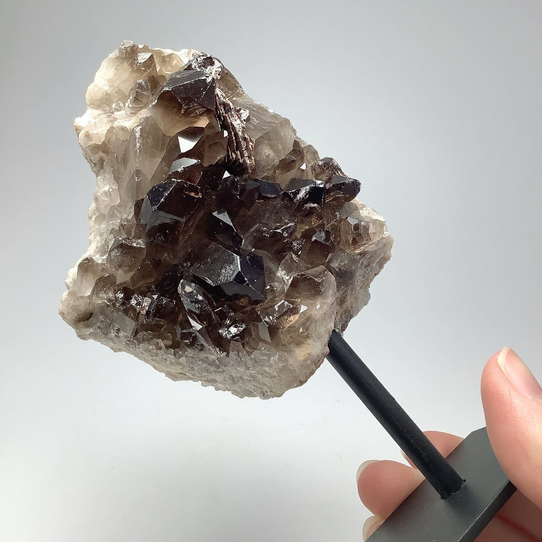 Smoky Quartz Cluster on Display Stand