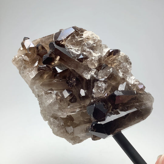 Smoky Quartz Cluster on Display Stand