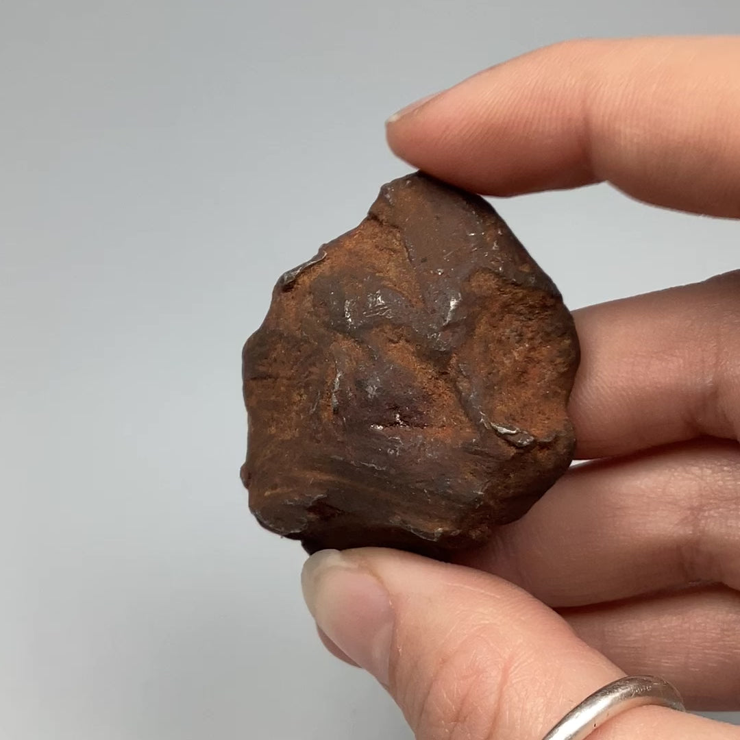 Gebel Kamil Meteorite