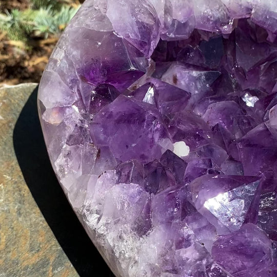 Extra Large Polished Amethyst Druze Cluster