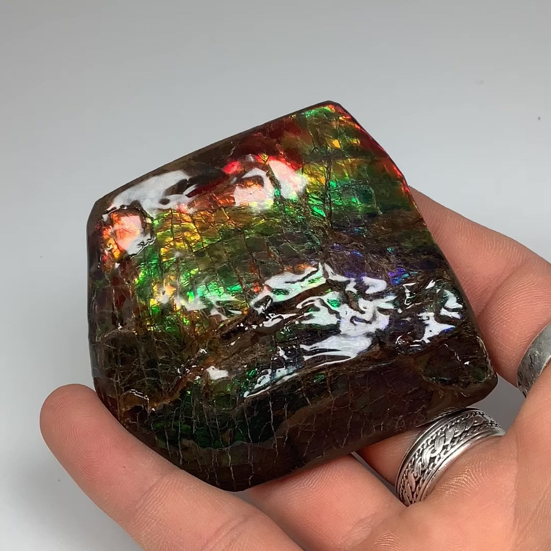 Ammolite Specimen