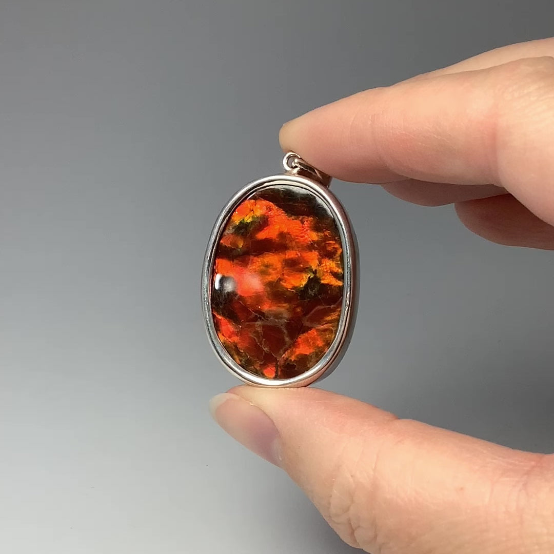 Alberta Ammolite Pendant