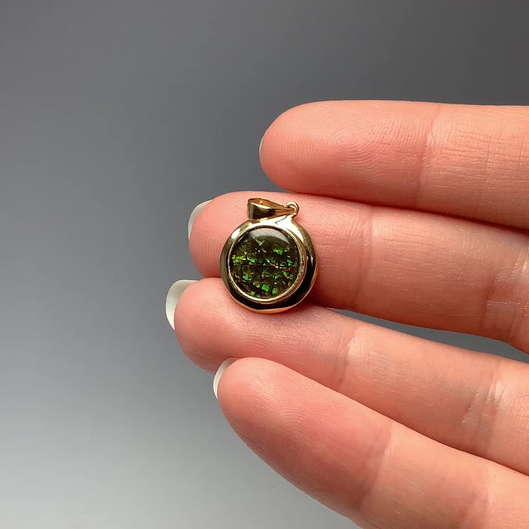 Alberta Ammolite 14K Gold Pendant