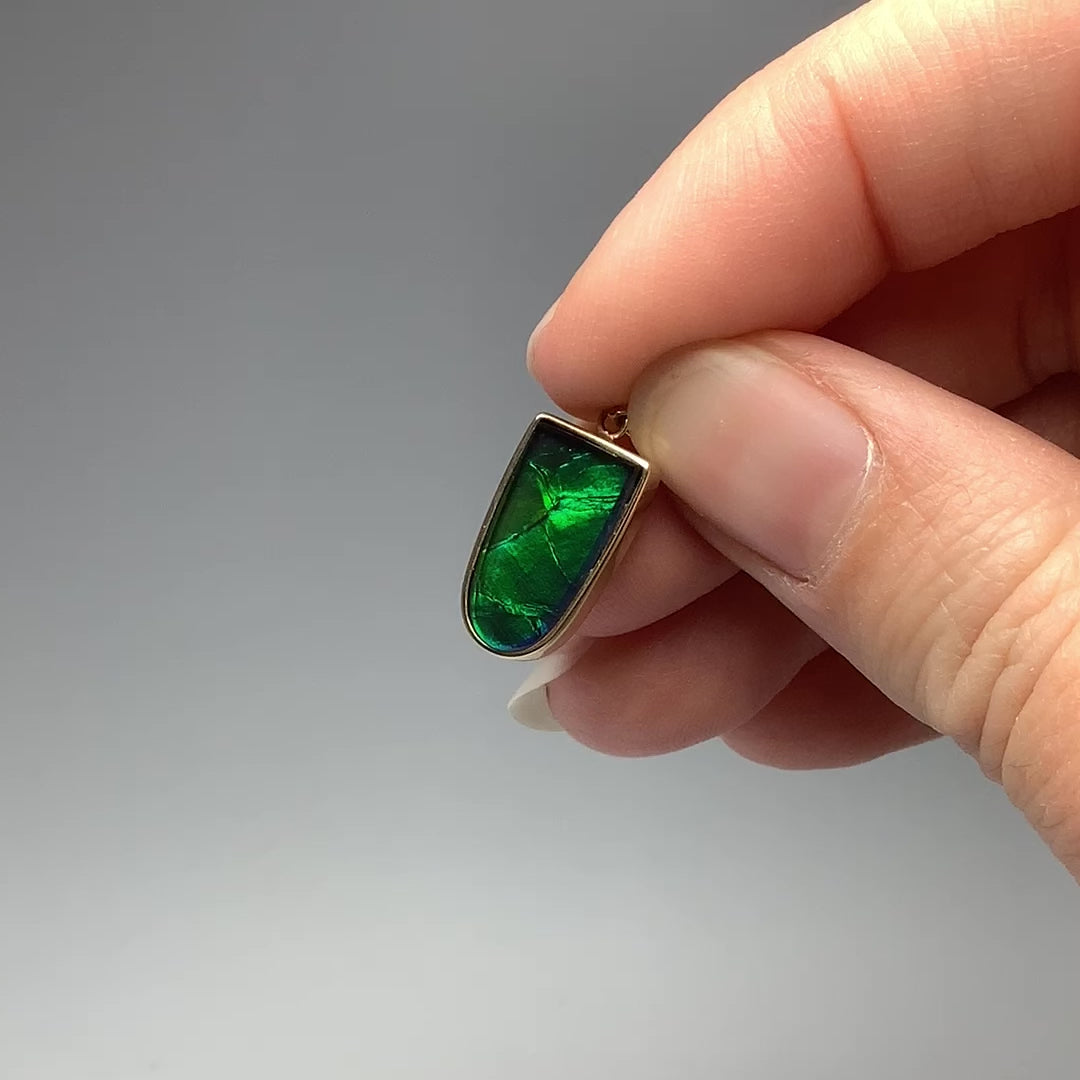 Alberta Ammolite 14K Gold Pendant