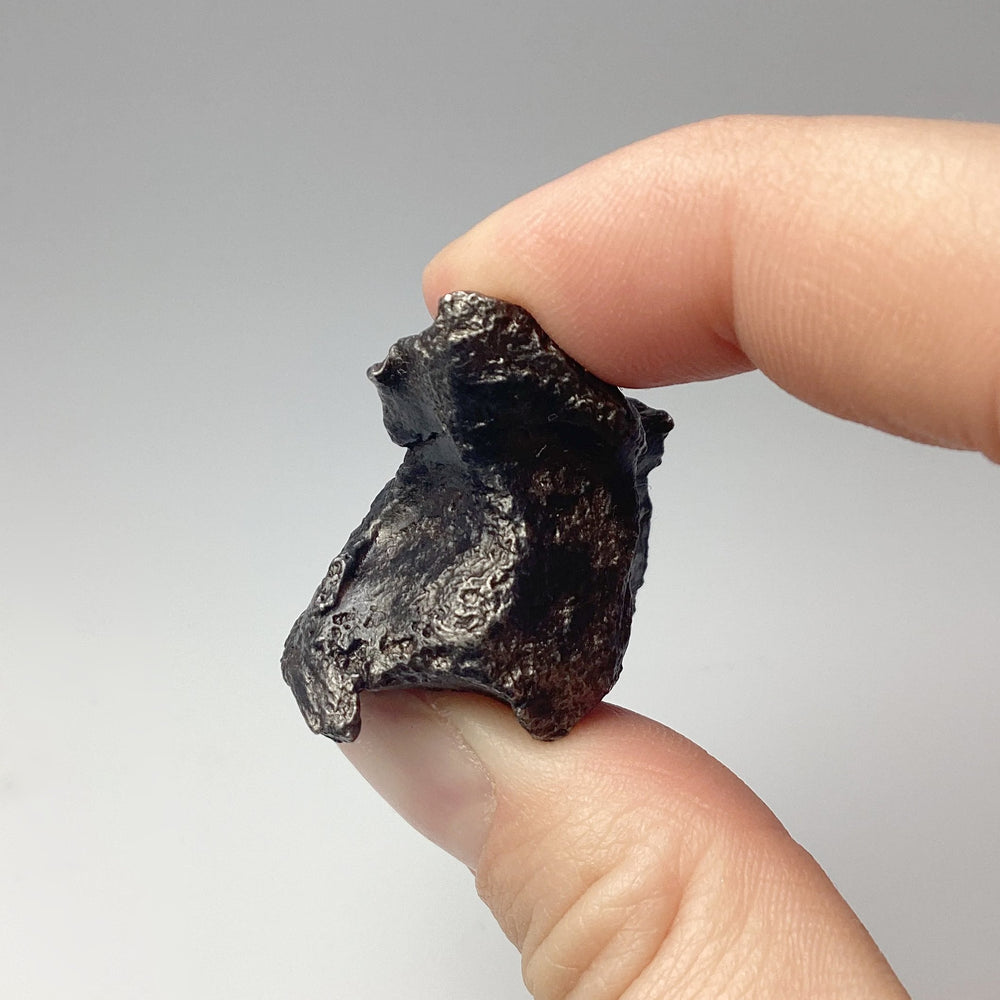 Sikhote-Alin Shrapnel Meteorite