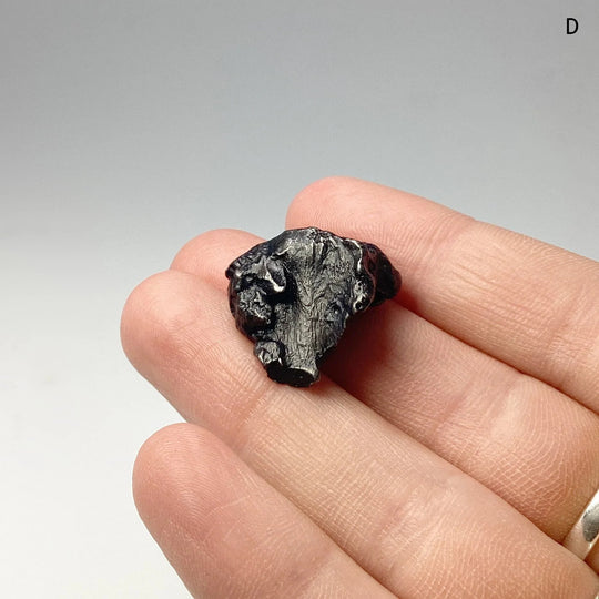 Sikhote-Alin Shrapnel Meteorite