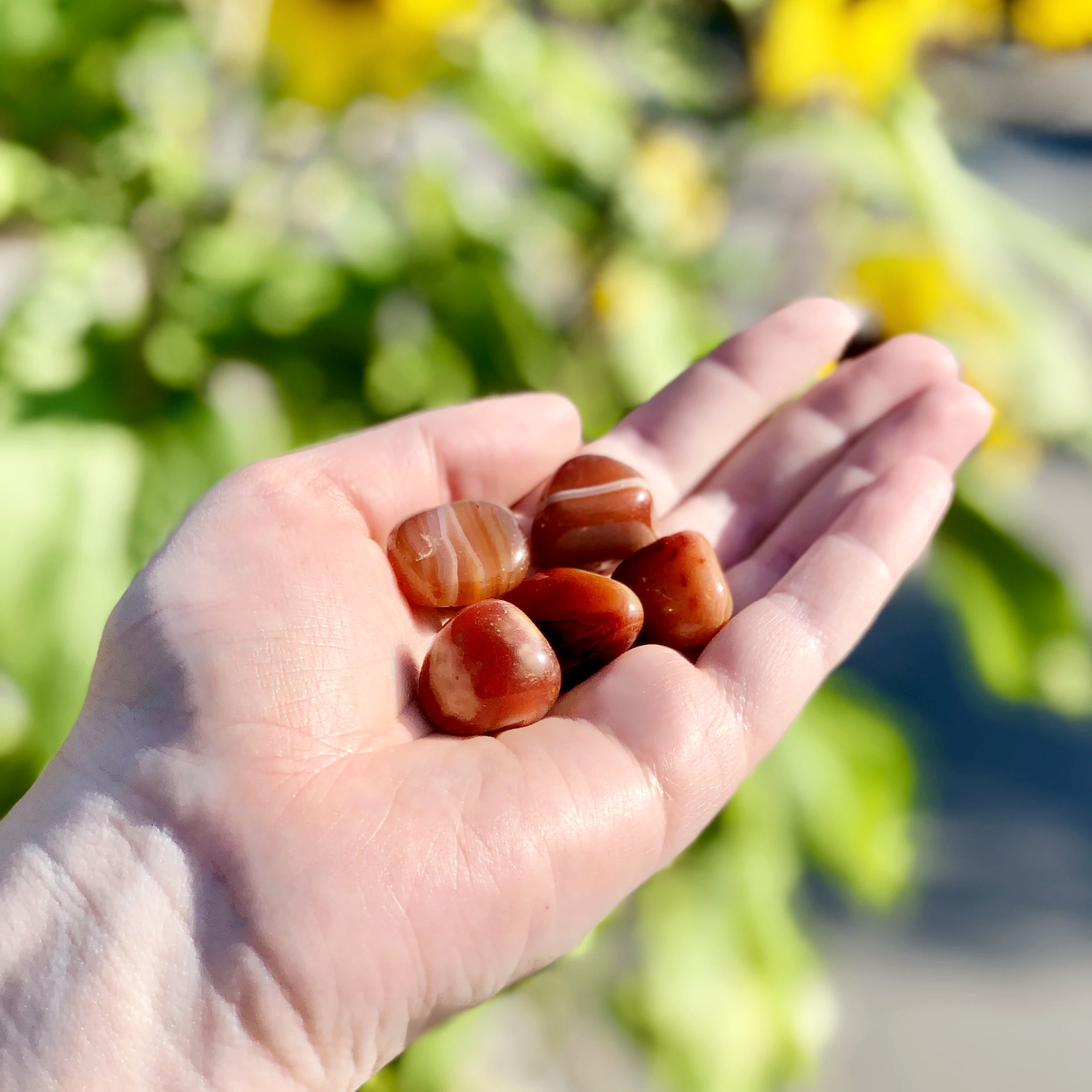 Carnelian Agate Small Tumbles Pouch