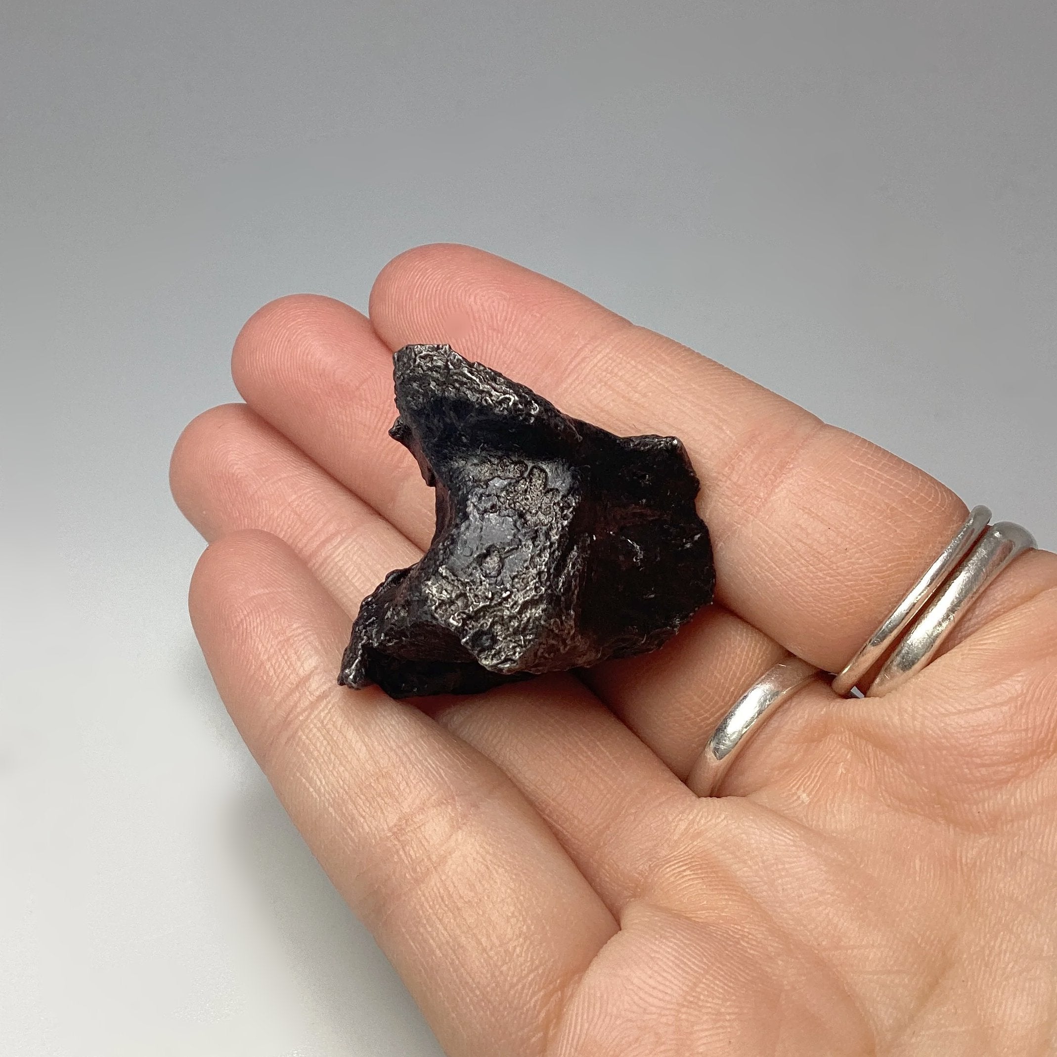 Sikhote-Alin Shrapnel Meteorite