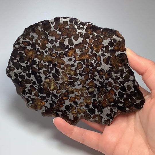 Sericho Large Meteorite Slice