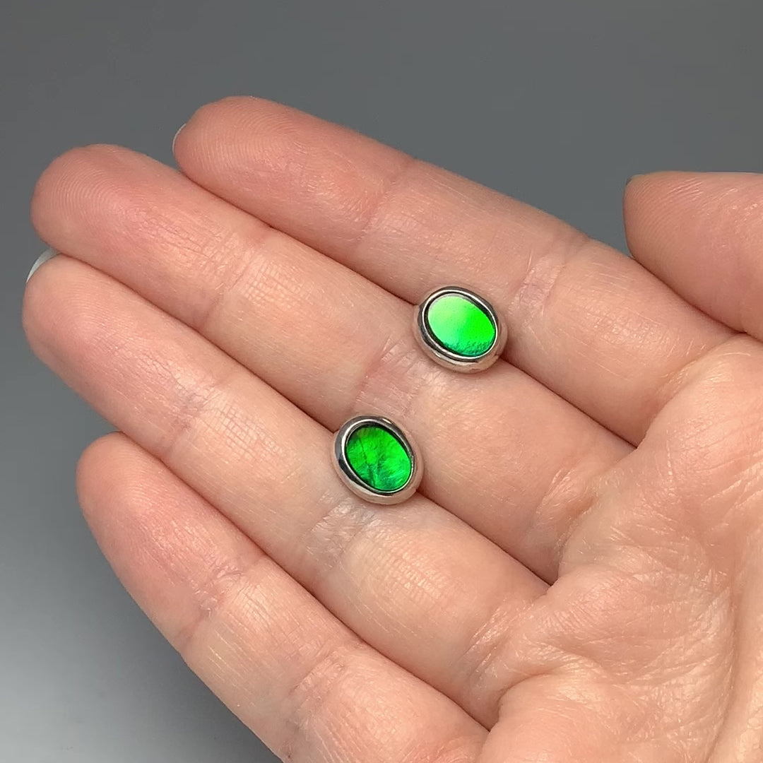 Alberta Ammolite Stud Earrings