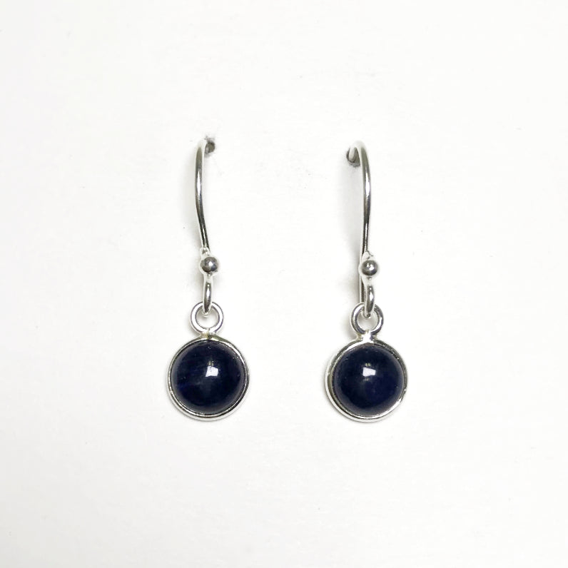 Sodalite Dangle Earrings