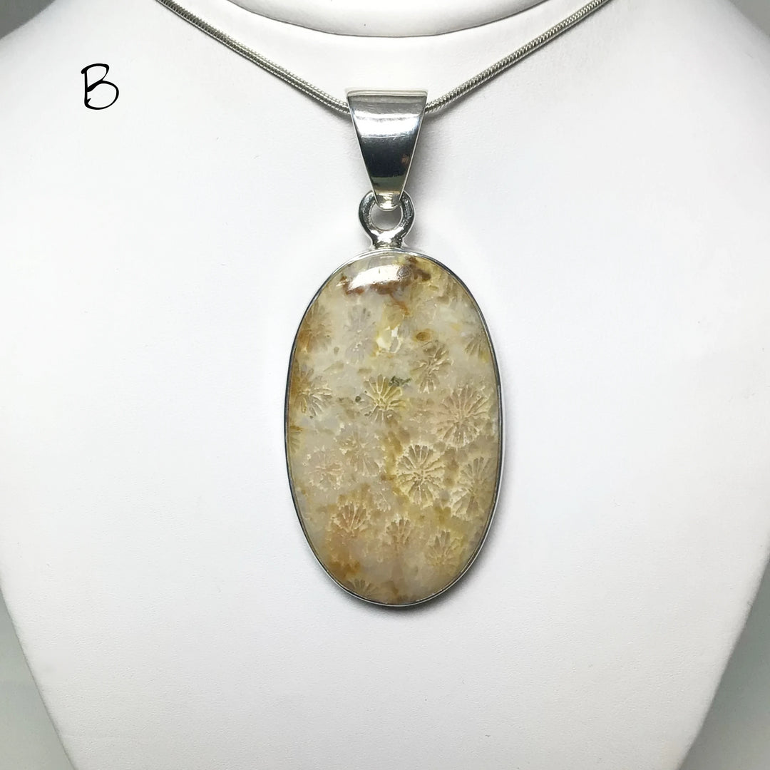 Fossilized Coral Pendant