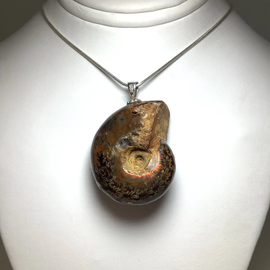 Colourful Ammonite Pendant