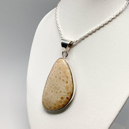 Fossilized Coral Pendant