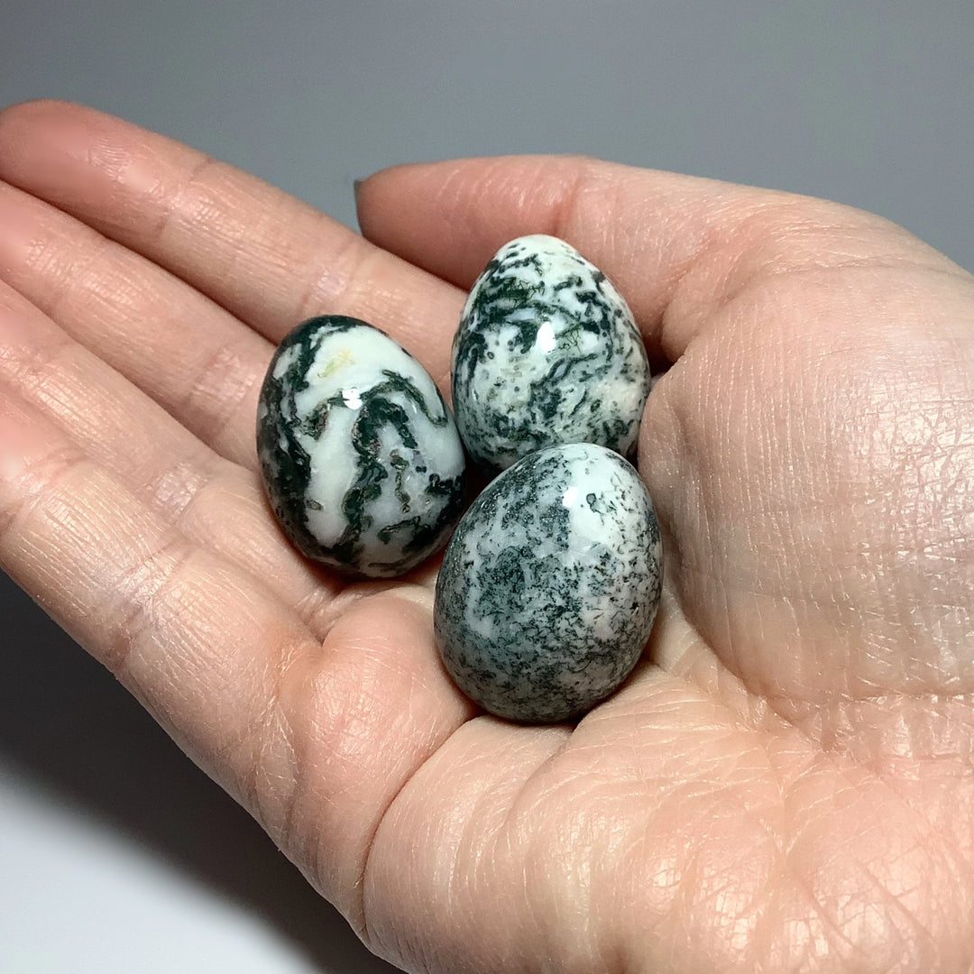 Tree Agate Mini Egg