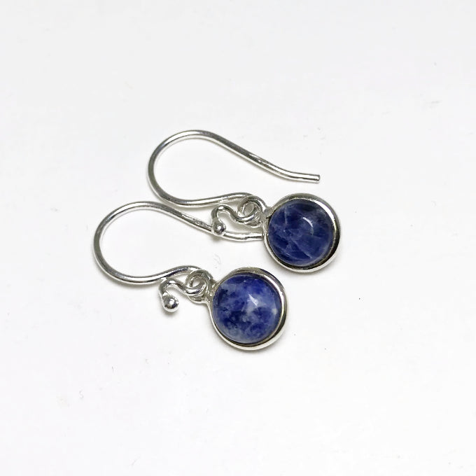 Sodalite Dangle Earrings