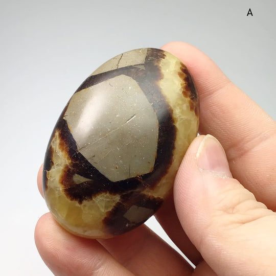 Septarian Tumble at $29 Each