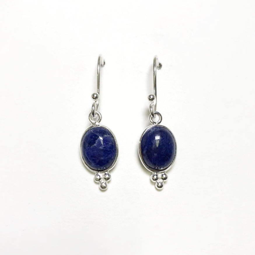 Sodalite Dangle Earrings