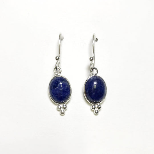 Sodalite Dangle Earrings