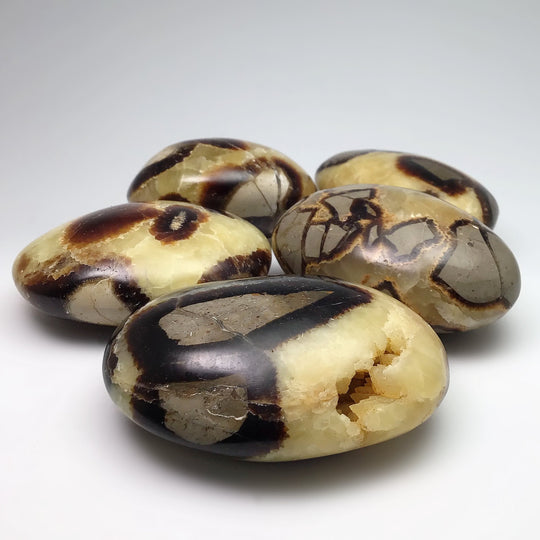 Septarian Tumble at $35 Each