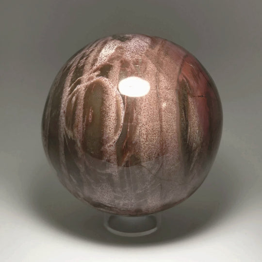 Araucaria Petrified Wood Sphere