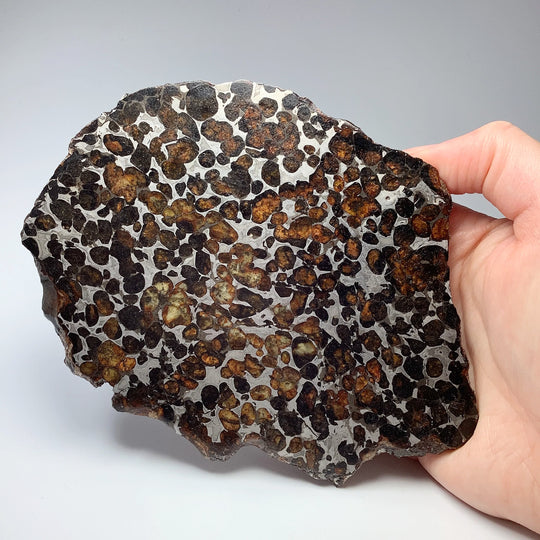 Sericho Large Meteorite Slice