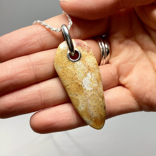 Fossilized Coral Pendant