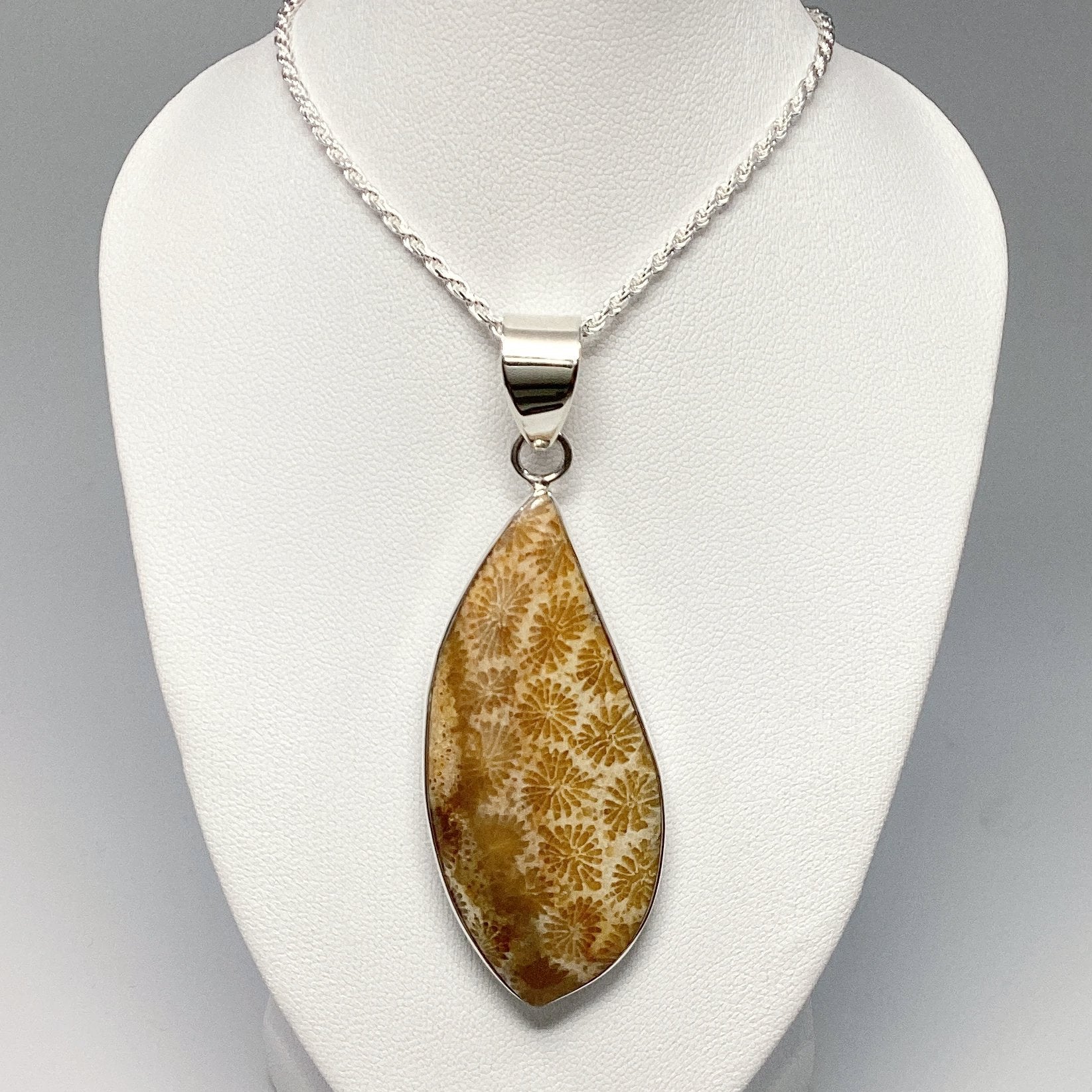 Fossilized Coral Pendant