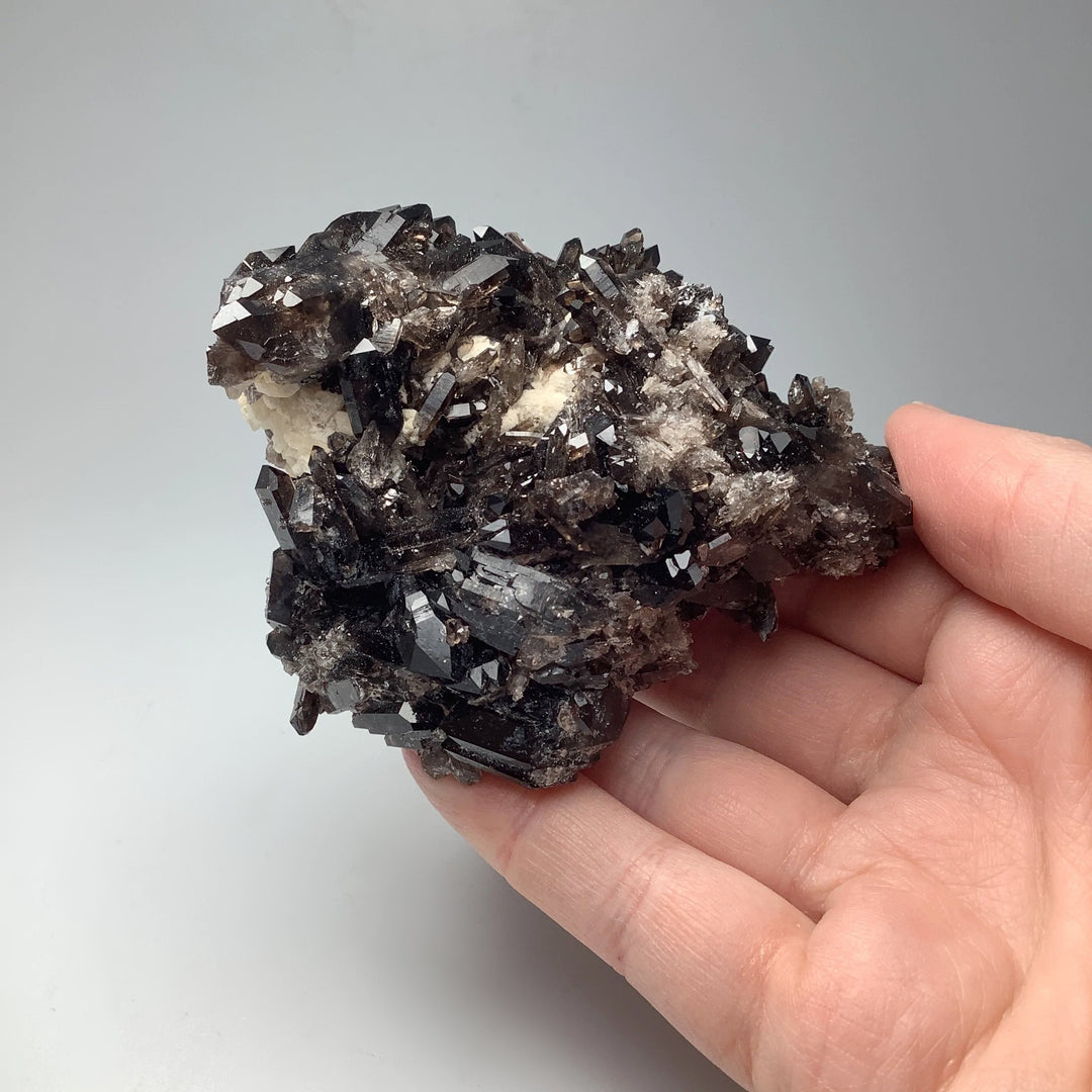 Smoky Quartz Cluster