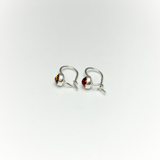 Cognac Amber Dangle Earrings