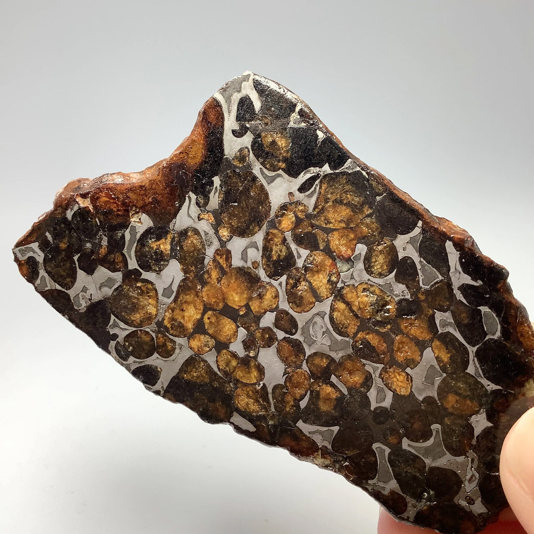 Sericho Meteorite Slice