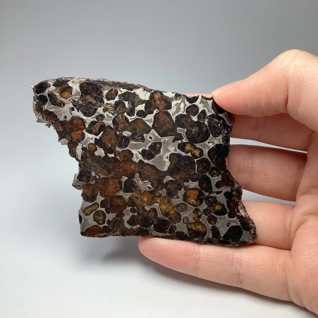 Sericho Meteorite Slice