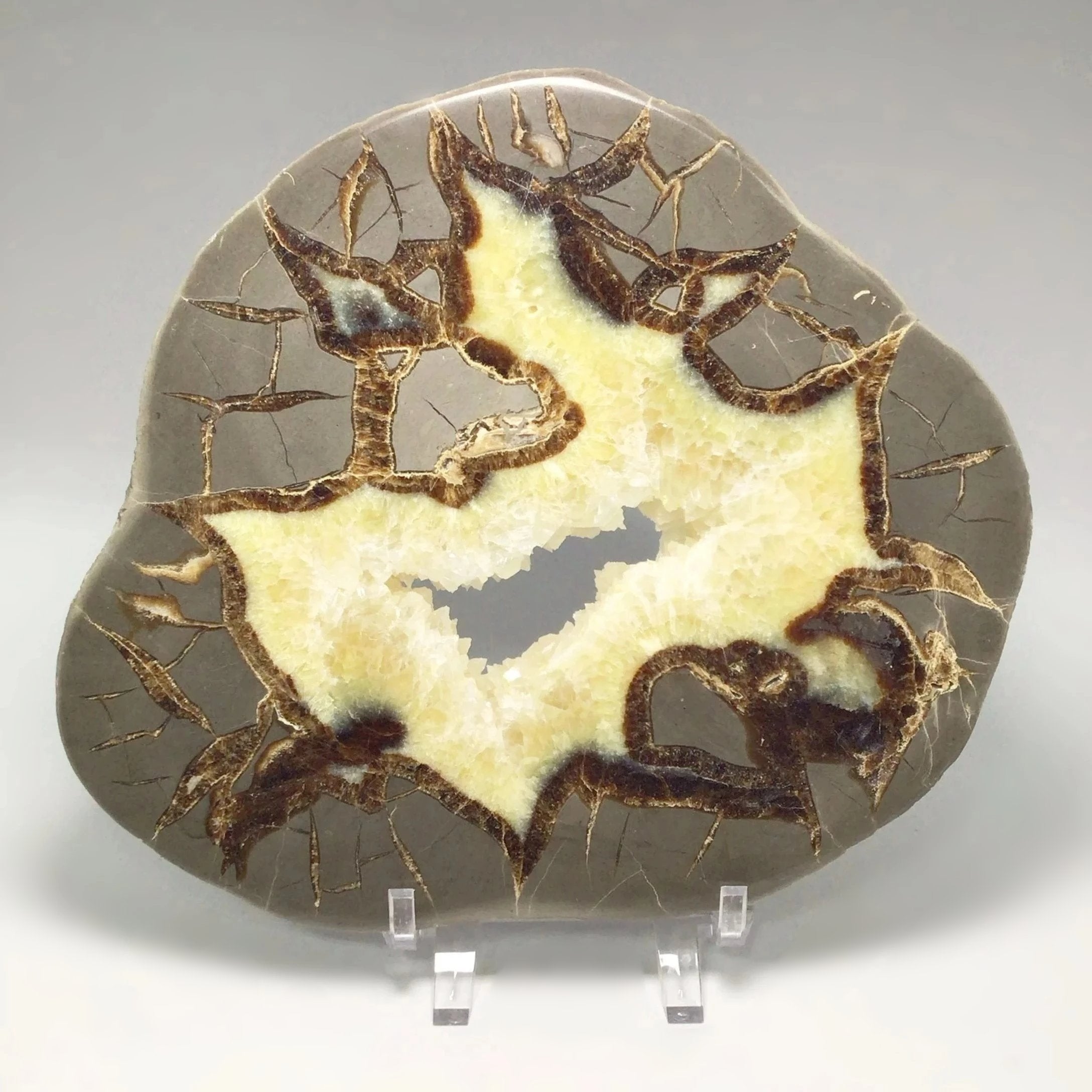 Septarian Slab