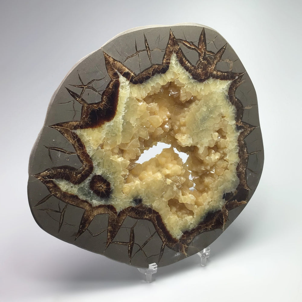 Septarian Slab