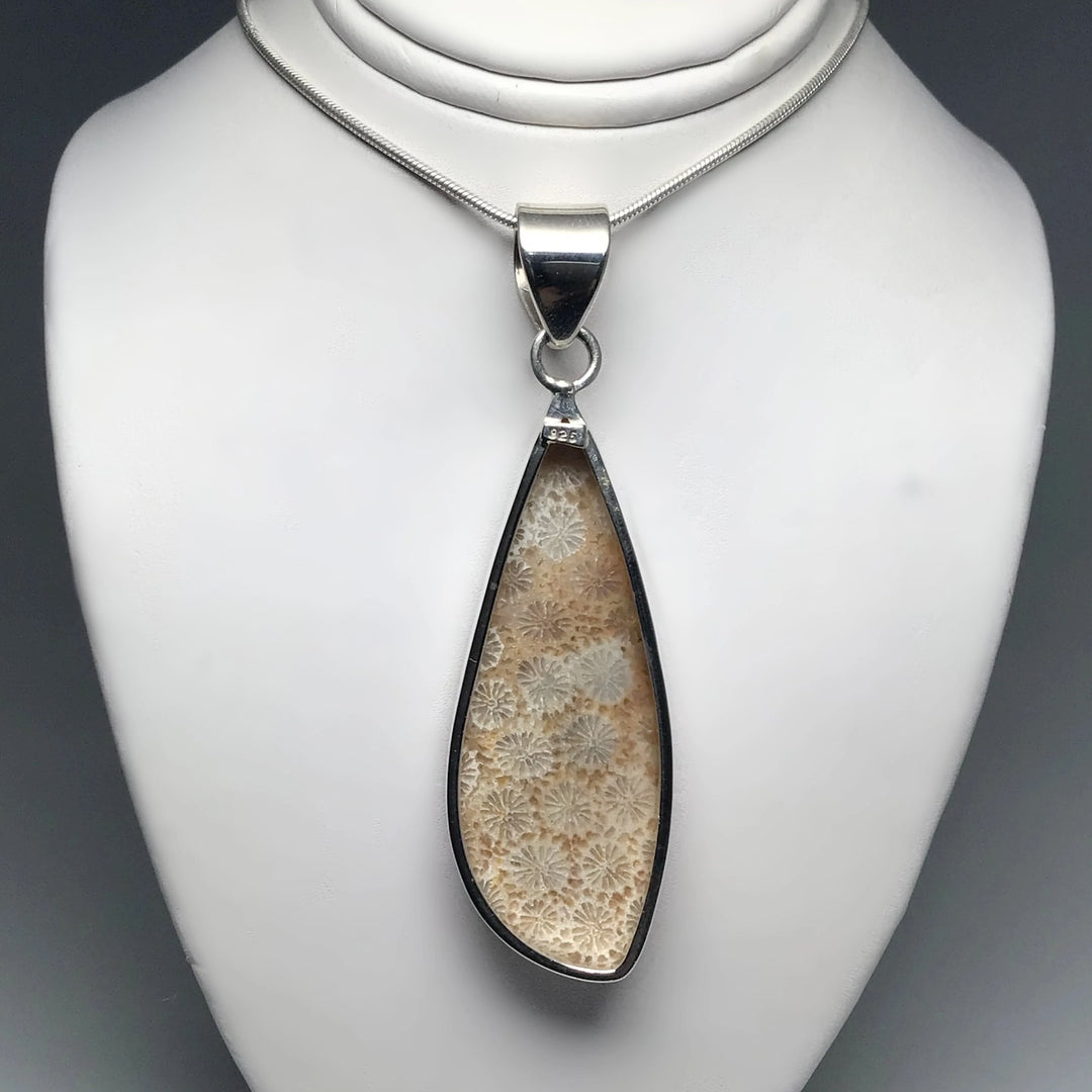 Fossilized Coral Pendant