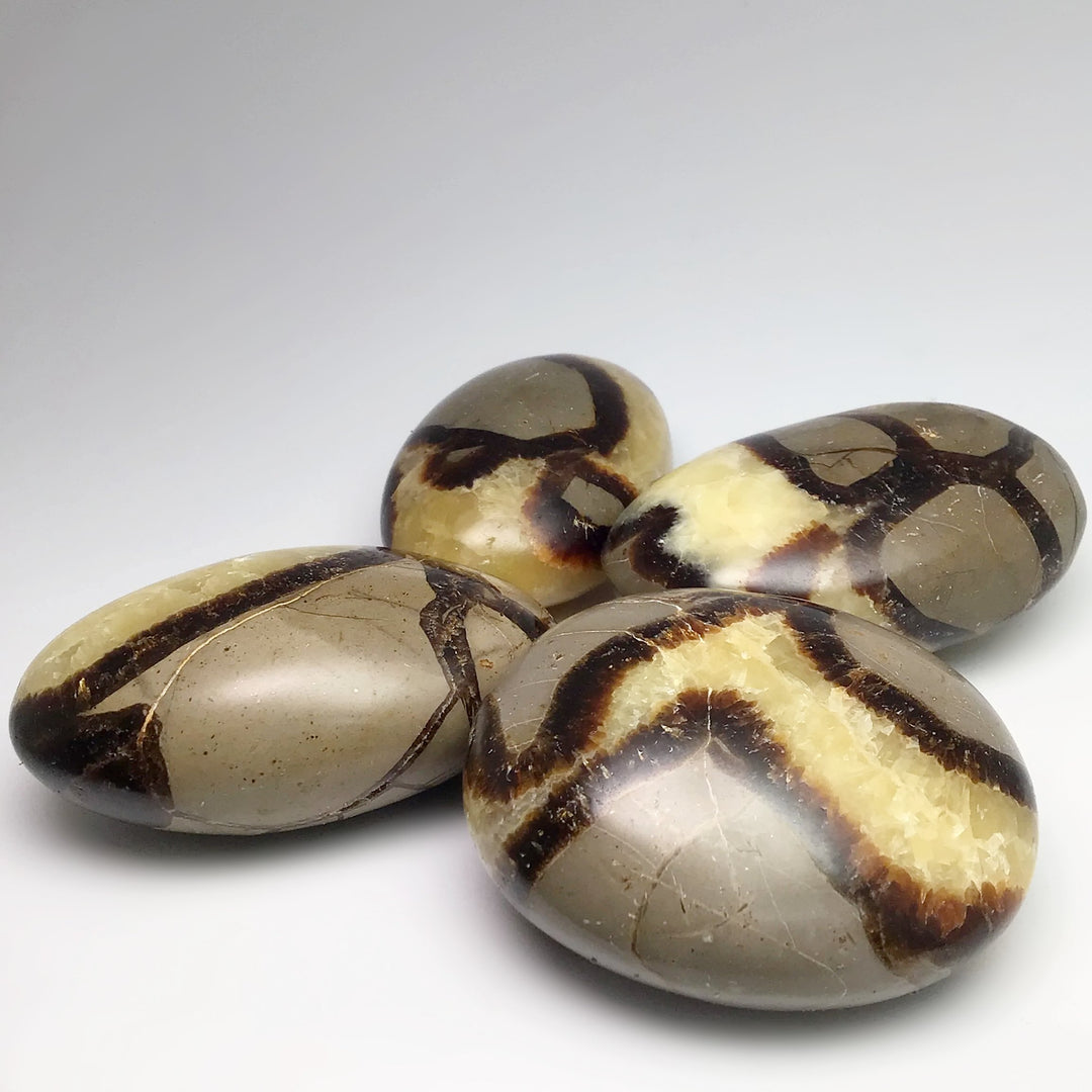 Septarian Tumble at $29 Each