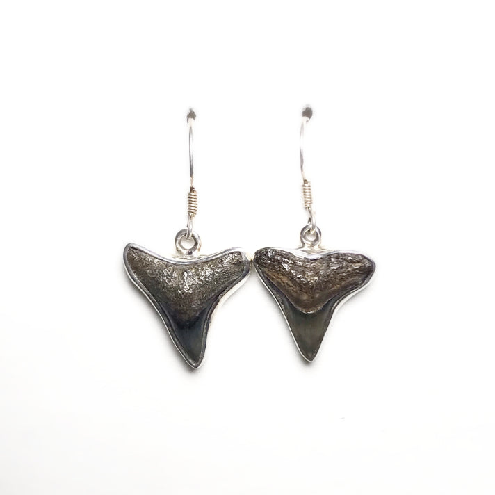 Fossilized Shark Teeth Dangle Earrings