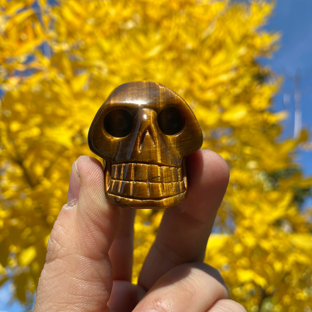 Carved Tiger Eye Skull