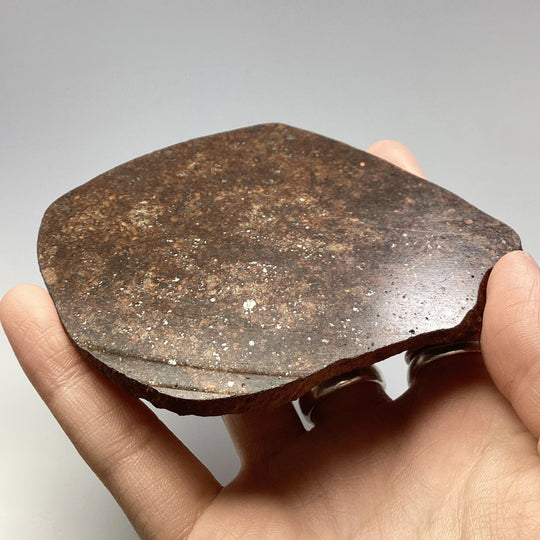 NWA Chondrite Meteorite Slab